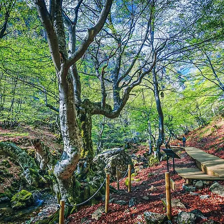 Apartament Gorgeous In La Omañuela